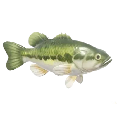 Largemouth Bass fish in Heartopia