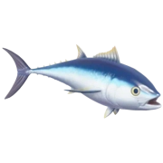 Bluefin Tuna fish in Heartopia