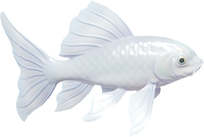 Butterfly Koi fish in Heartopia