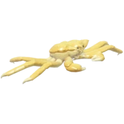 Golden King Crab fish in Heartopia