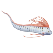 Giant Oarfish fish in Heartopia