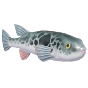 Puffer Fish fish in Heartopia