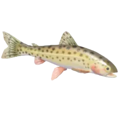 Chum Salmon fish in Heartopia
