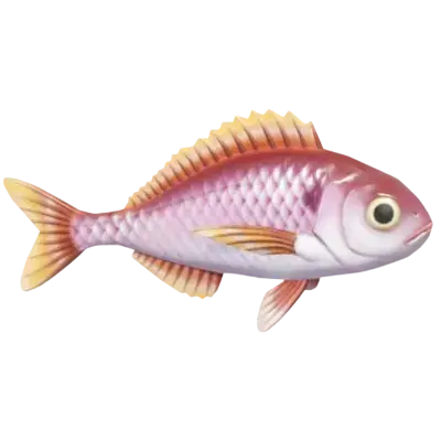 Blackspot Seabream fish in Heartopia