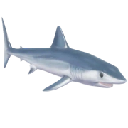 Shortfin Mako Shark fish in Heartopia