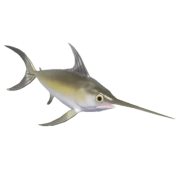Swordfish fish in Heartopia