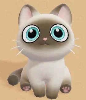 Siamese pet in Heartopia