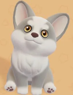 Corgi pet in Heartopia